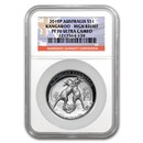 2010 Australia 1 oz Silver Kangaroo PF-70 NGC (High Relief) 2010 Australia 1 oz Silver Kangaroo PF-70 NGC (High Relief)